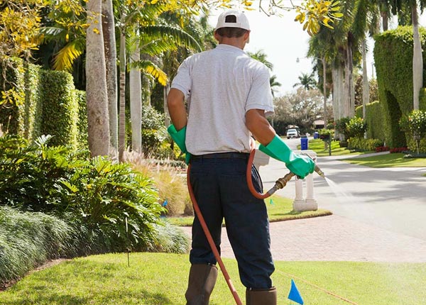 About San Simeon CA Pest Control Pros
